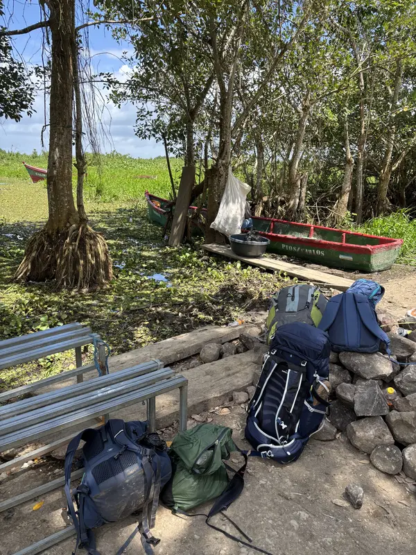 Back from the jungle - part I