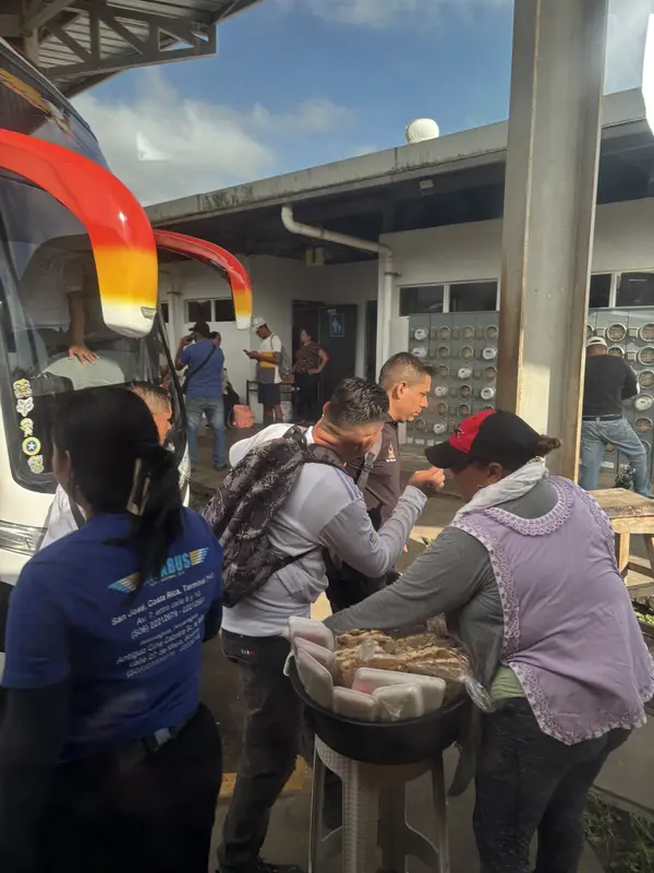 Back from the jungle - part II